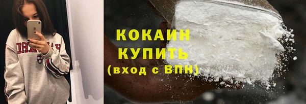 амф Гусев