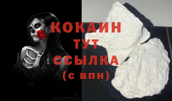 дживик Гусь-Хрустальный