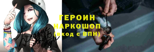 амф Гусев