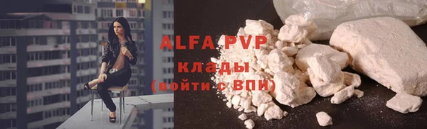дживик Гусь-Хрустальный