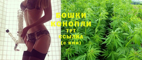 амф Гусев