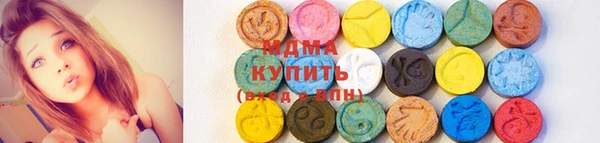 амф Гусев