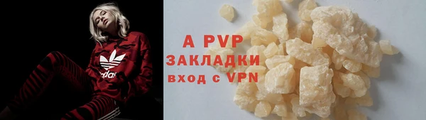 амф Гусев