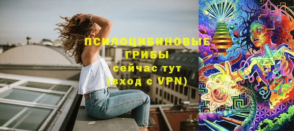 амф Гусев