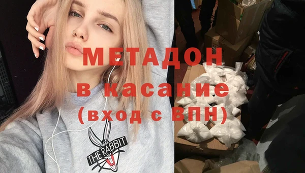 амф Гусев