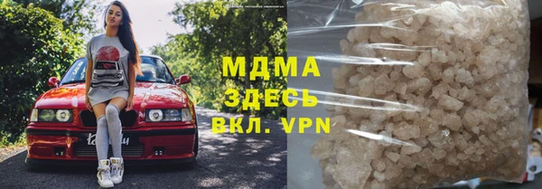 амф Гусев