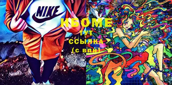амф Гусев