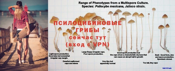 дживик Гусь-Хрустальный