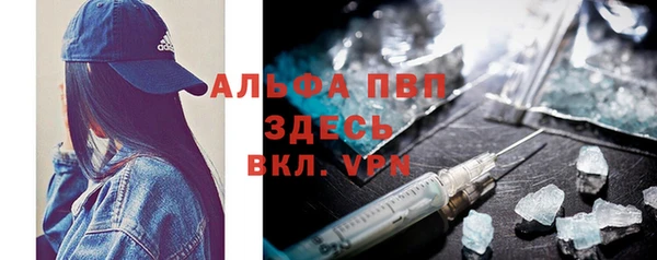 амф Гусев